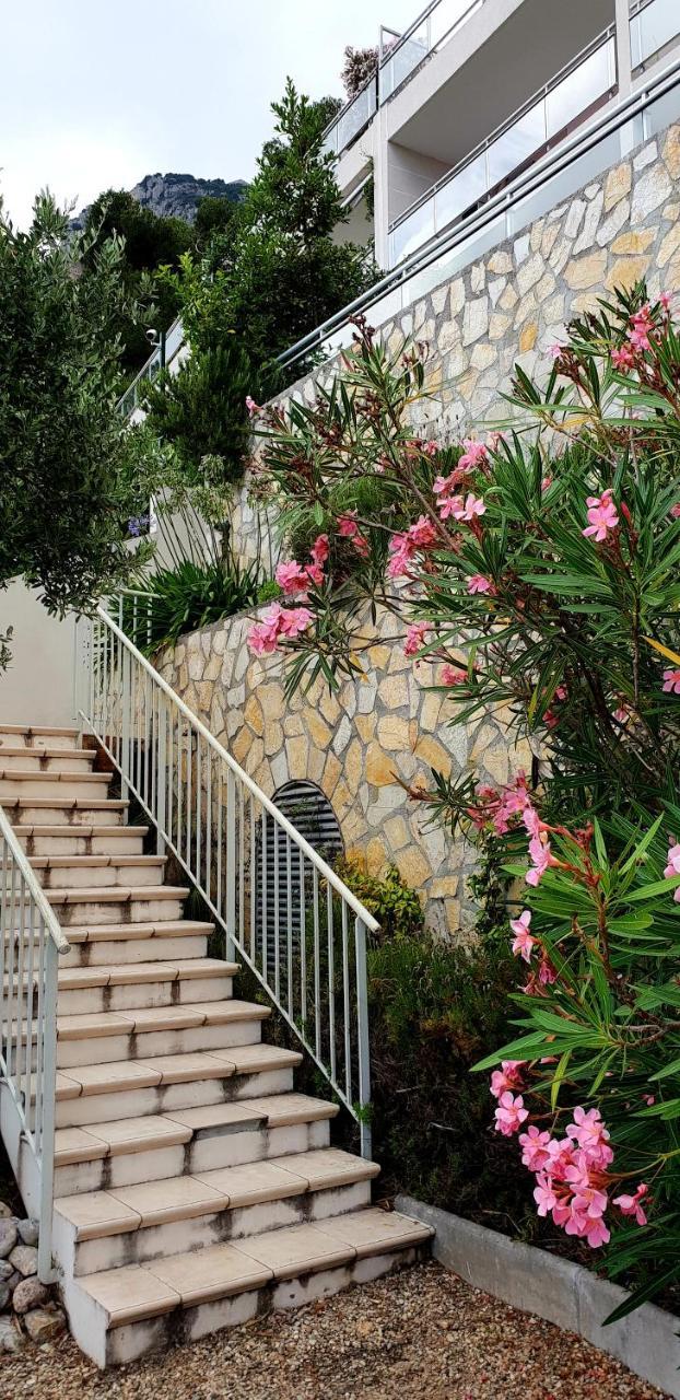 La Terrazza Di Monaco Apartment Cap-d'Ail Bagian luar foto